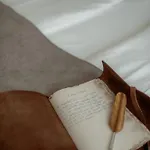Ned